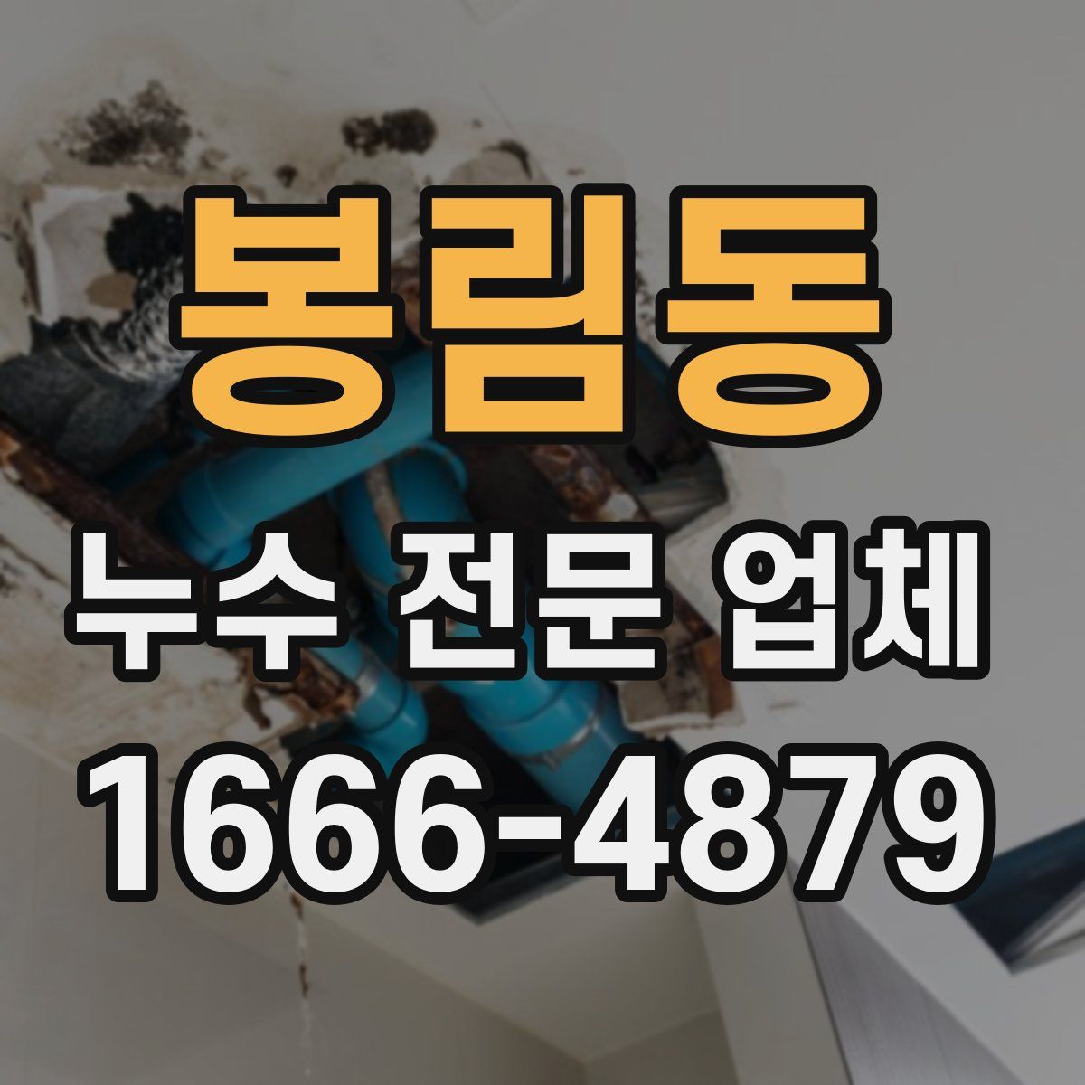 봉림동 누수 전문 업체