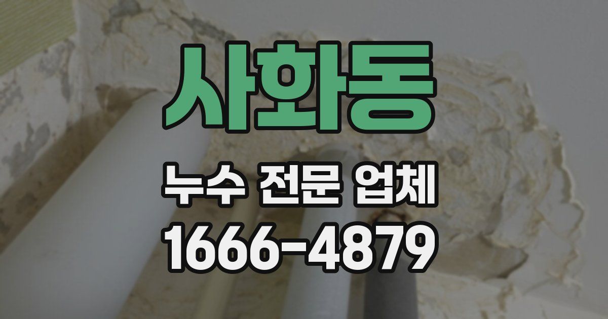 사화동 누수 전문 업체