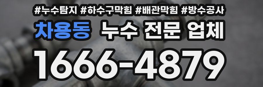 차용동 누수 전문 업체