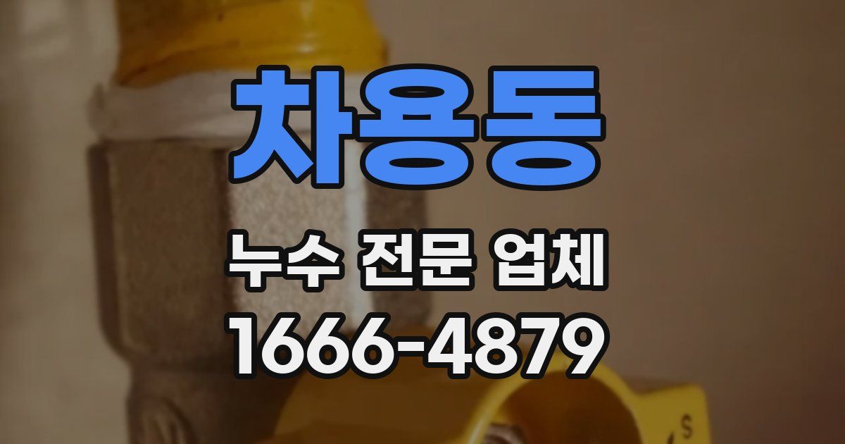 차용동 누수 전문 업체