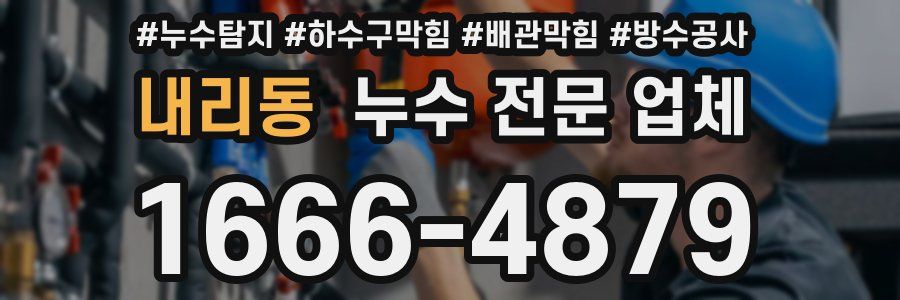 내리동 누수 전문 업체