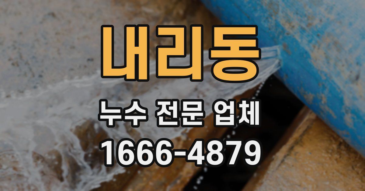 내리동 누수 전문 업체