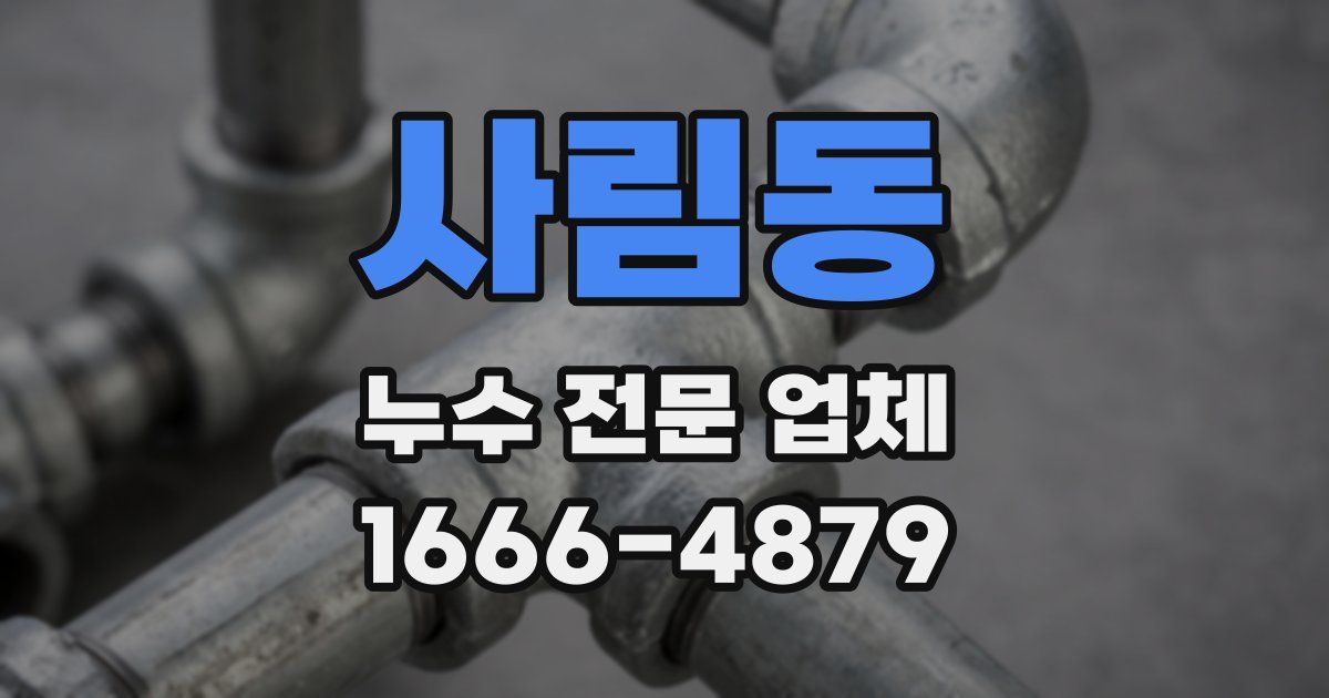 사림동 누수 전문 업체