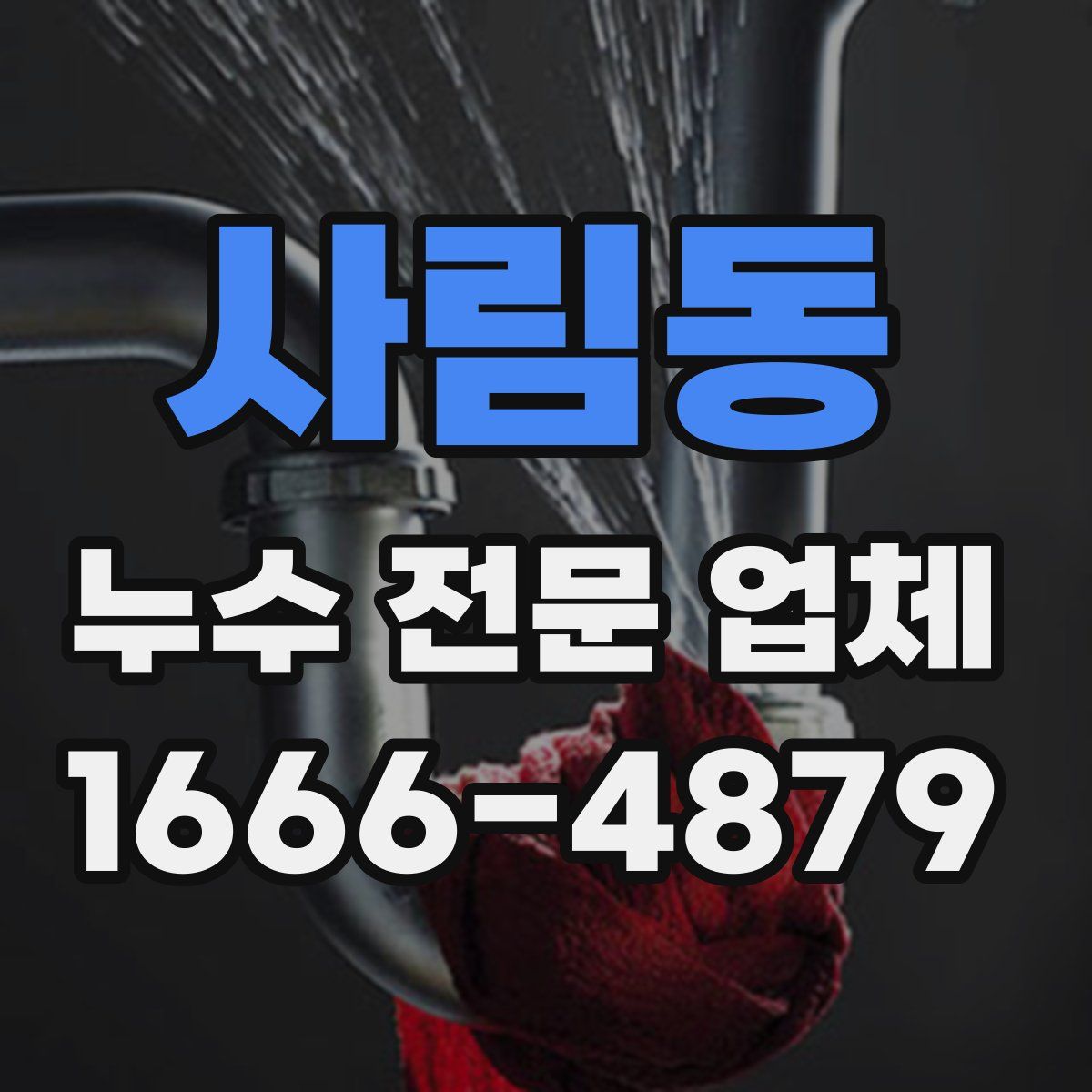 사림동 누수 전문 업체