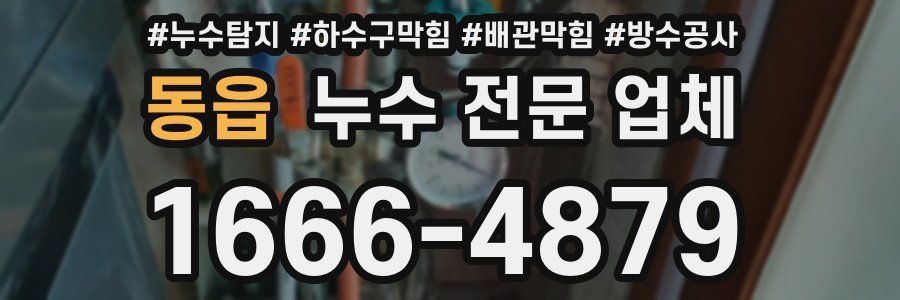 동읍 누수 전문 업체
