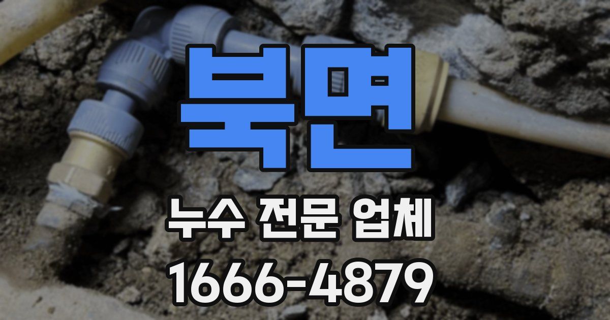 북면 누수 전문 업체