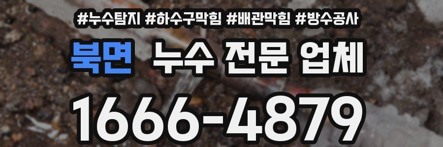 북면 누수 전문 업체