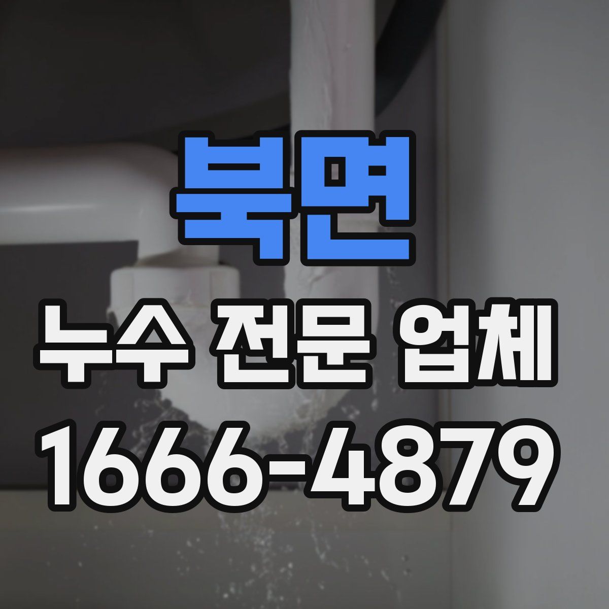 북면 누수 전문 업체
