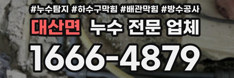 대산면 누수 전문 업체