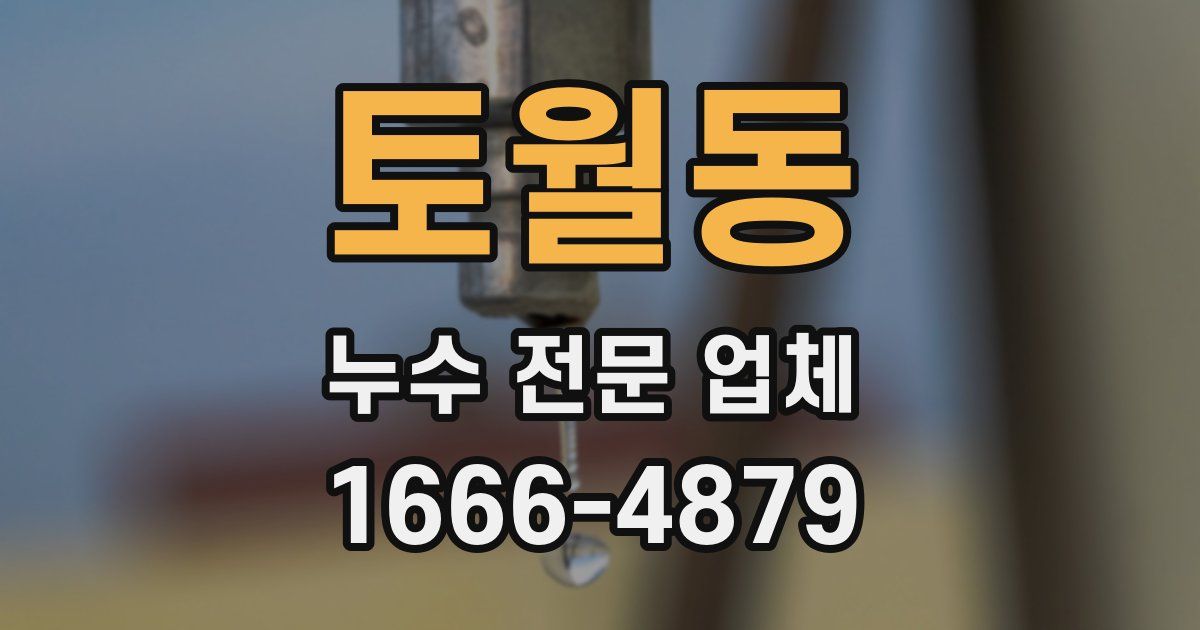 토월동 누수 전문 업체