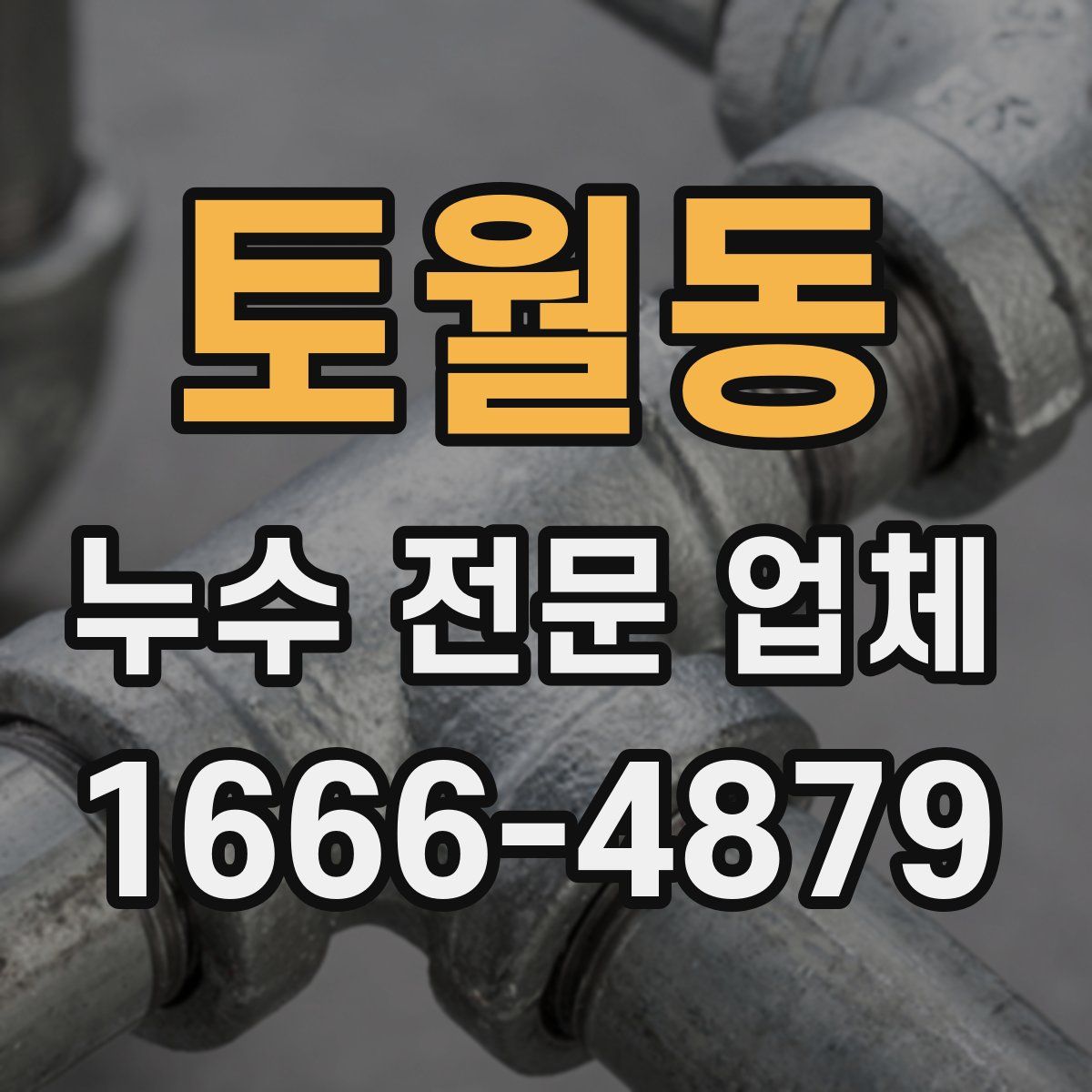 토월동 누수 전문 업체