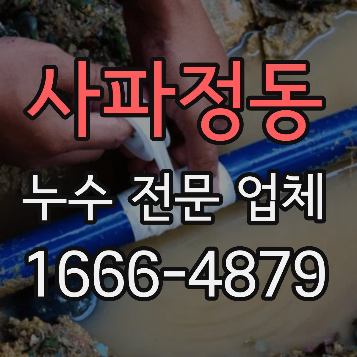 사파정동 누수 전문 업체