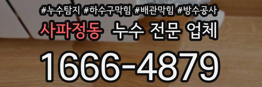 사파정동 누수 전문 업체