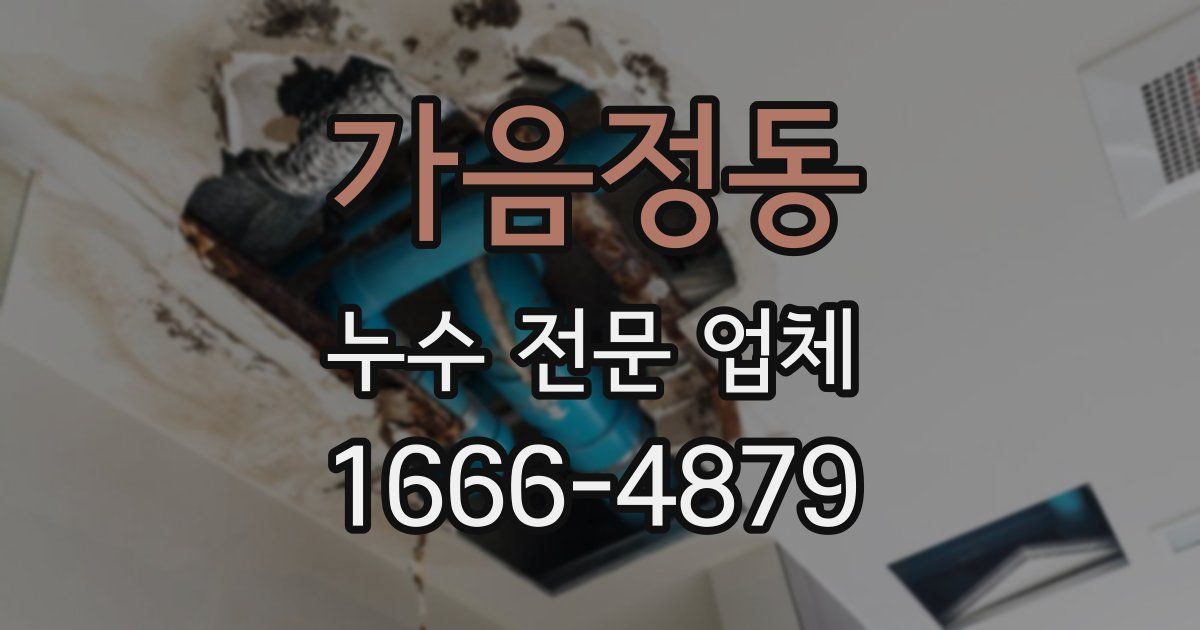 가음정동 누수 전문 업체