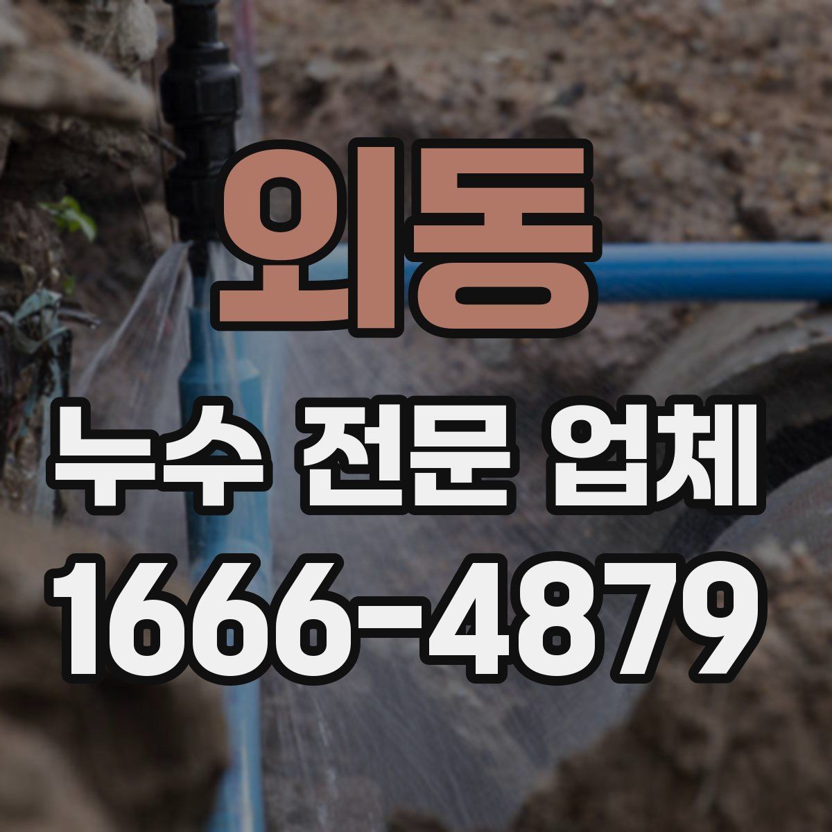 외동 누수 전문 업체