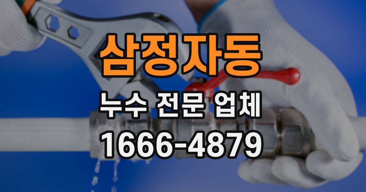 삼정자동 누수 전문 업체