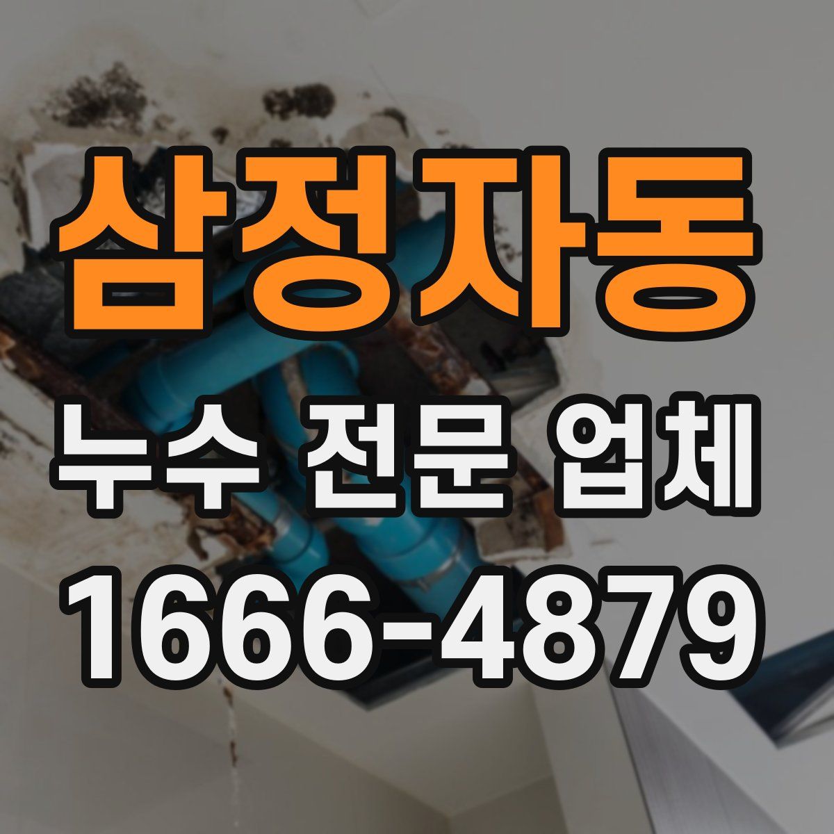 삼정자동 누수 전문 업체