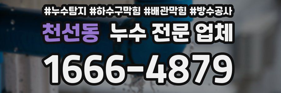 천선동 누수 전문 업체