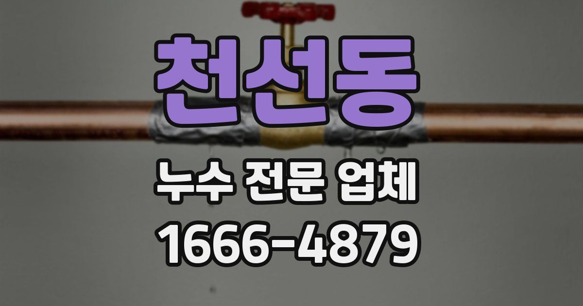 천선동 누수 전문 업체