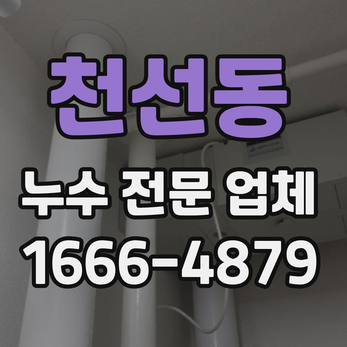 천선동 누수 전문 업체