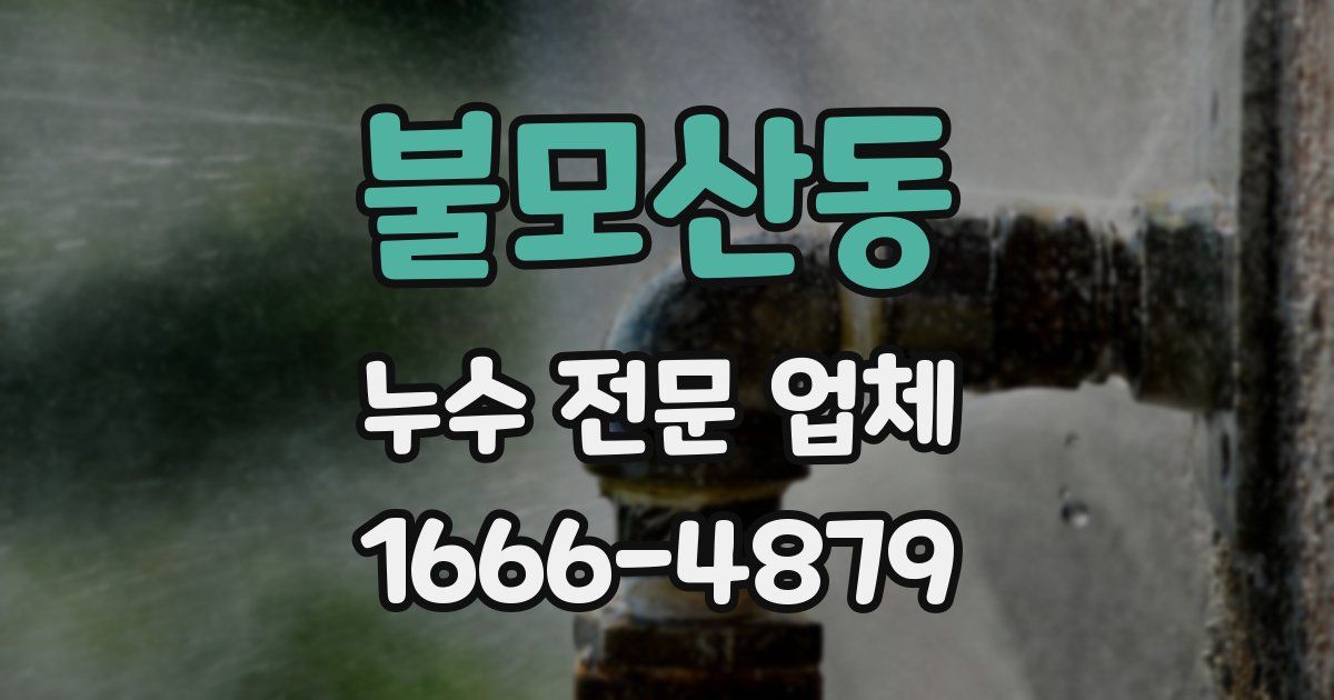불모산동 누수 전문 업체