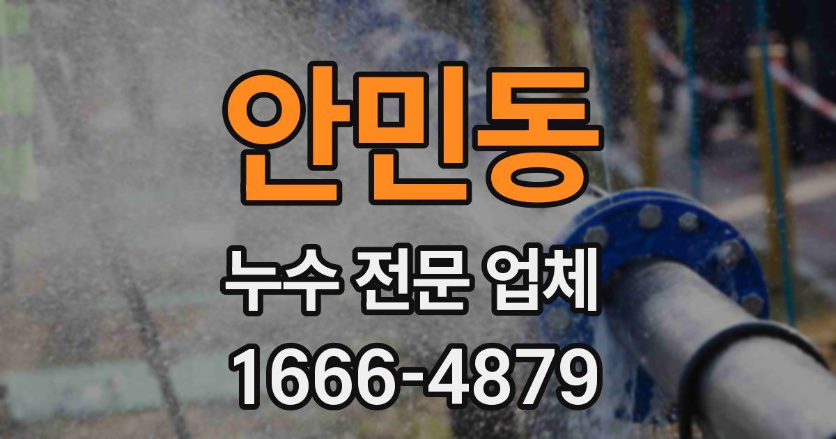 안민동 누수 전문 업체