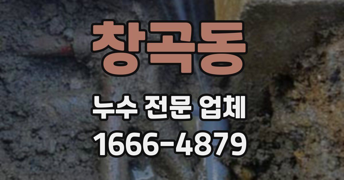 창곡동 누수 전문 업체