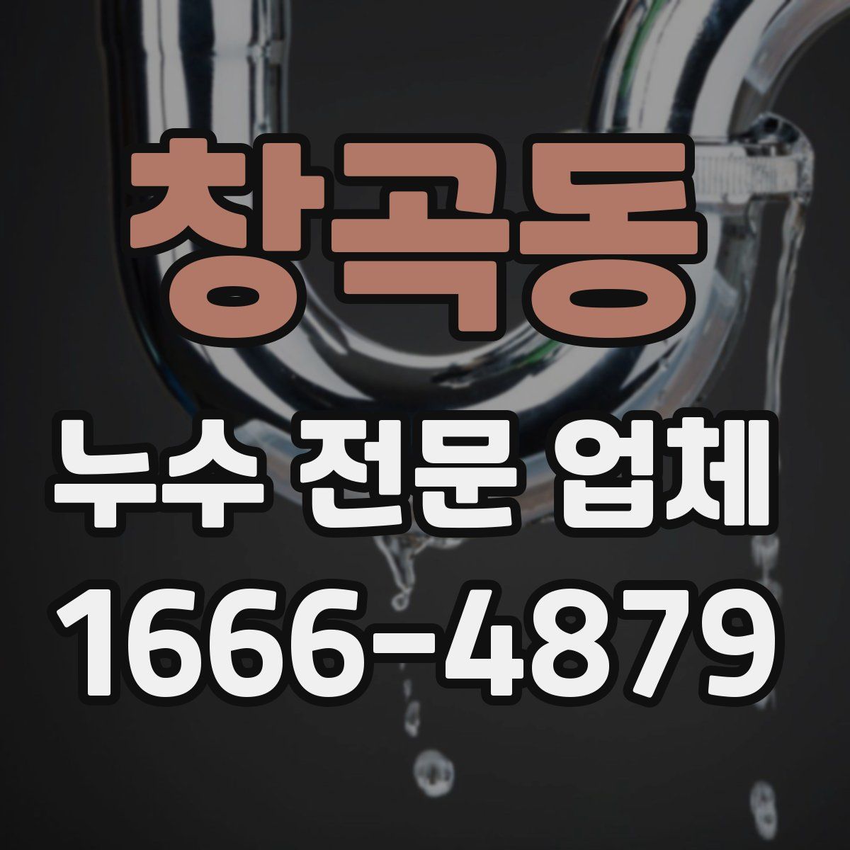 창곡동 누수 전문 업체