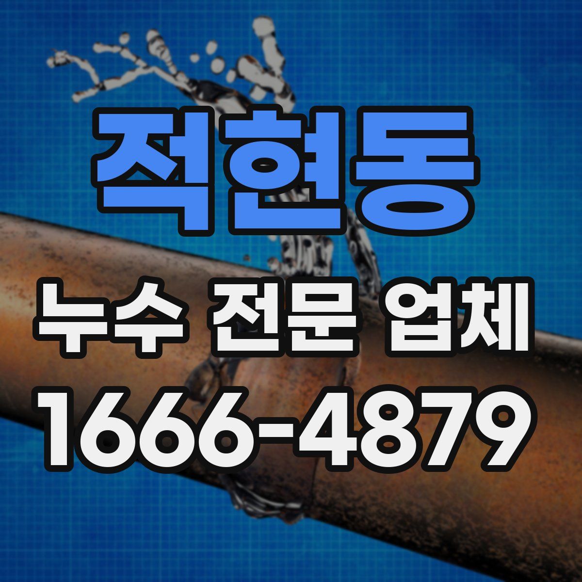 적현동 누수 전문 업체