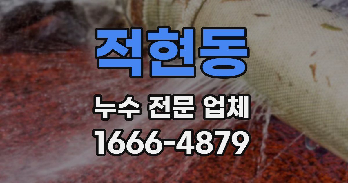 적현동 누수 전문 업체