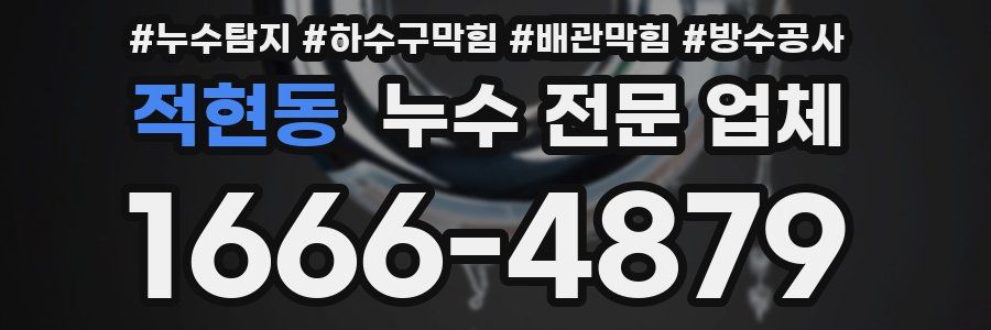 적현동 누수 전문 업체