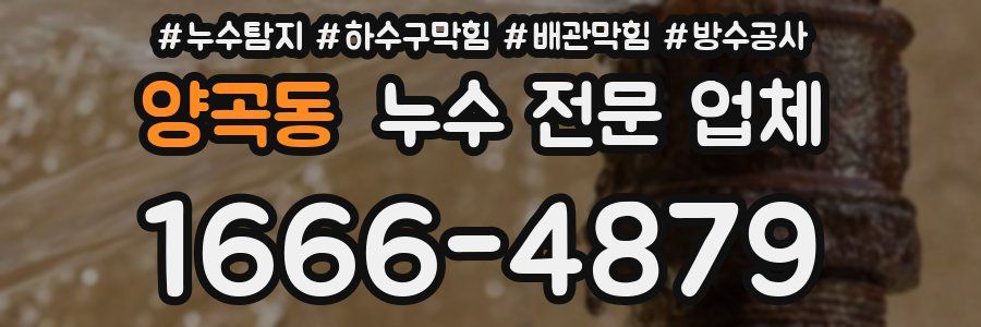 양곡동 누수 전문 업체