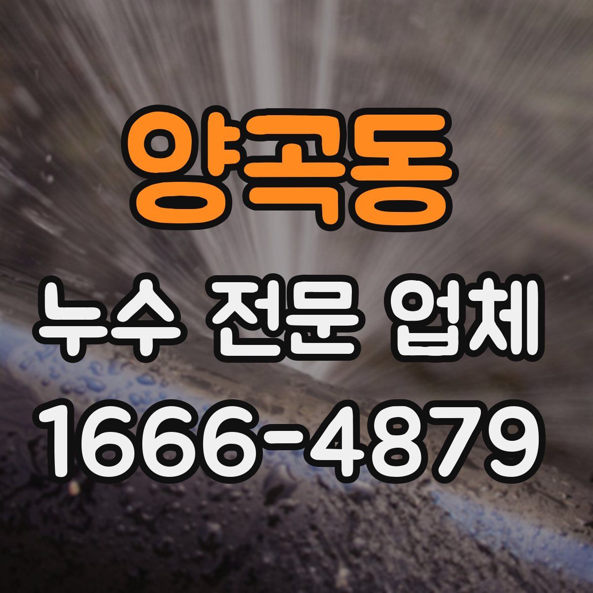 양곡동 누수 전문 업체