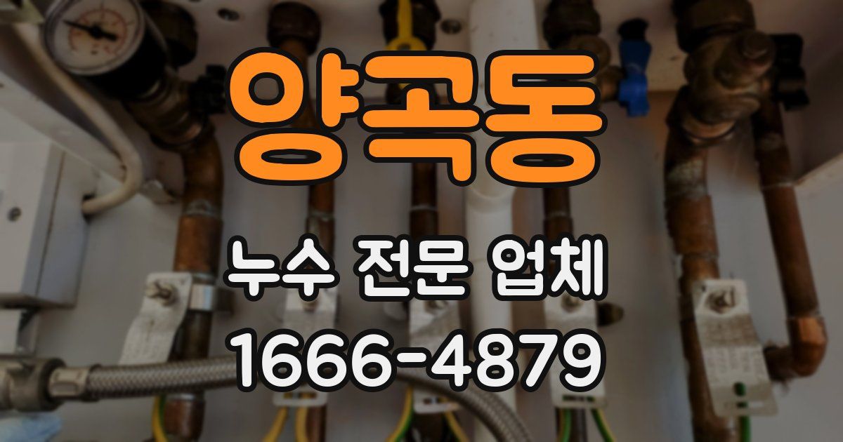 양곡동 누수 전문 업체
