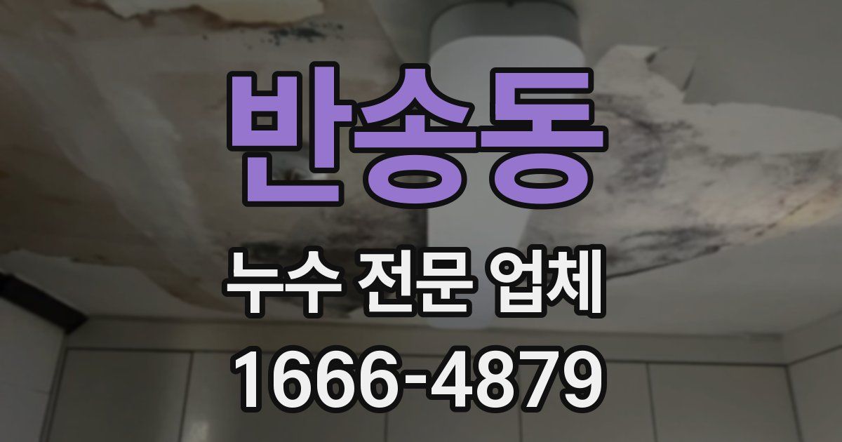 반송동 누수 전문 업체
