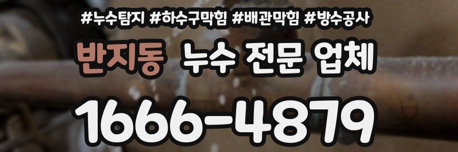 반지동 누수 전문 업체