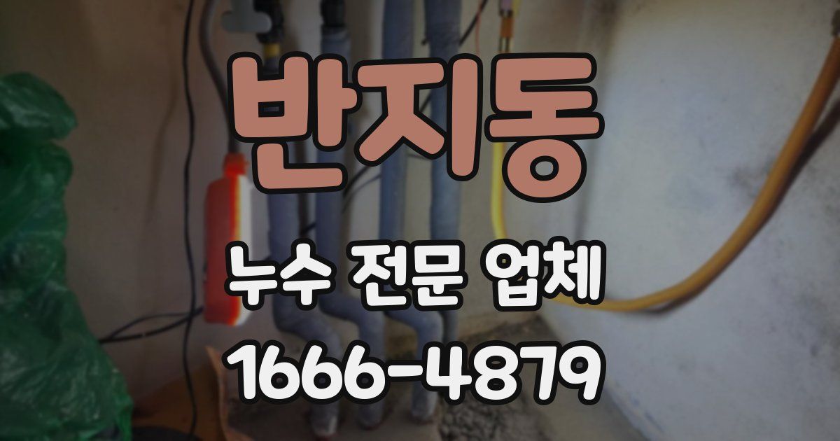 반지동 누수 전문 업체
