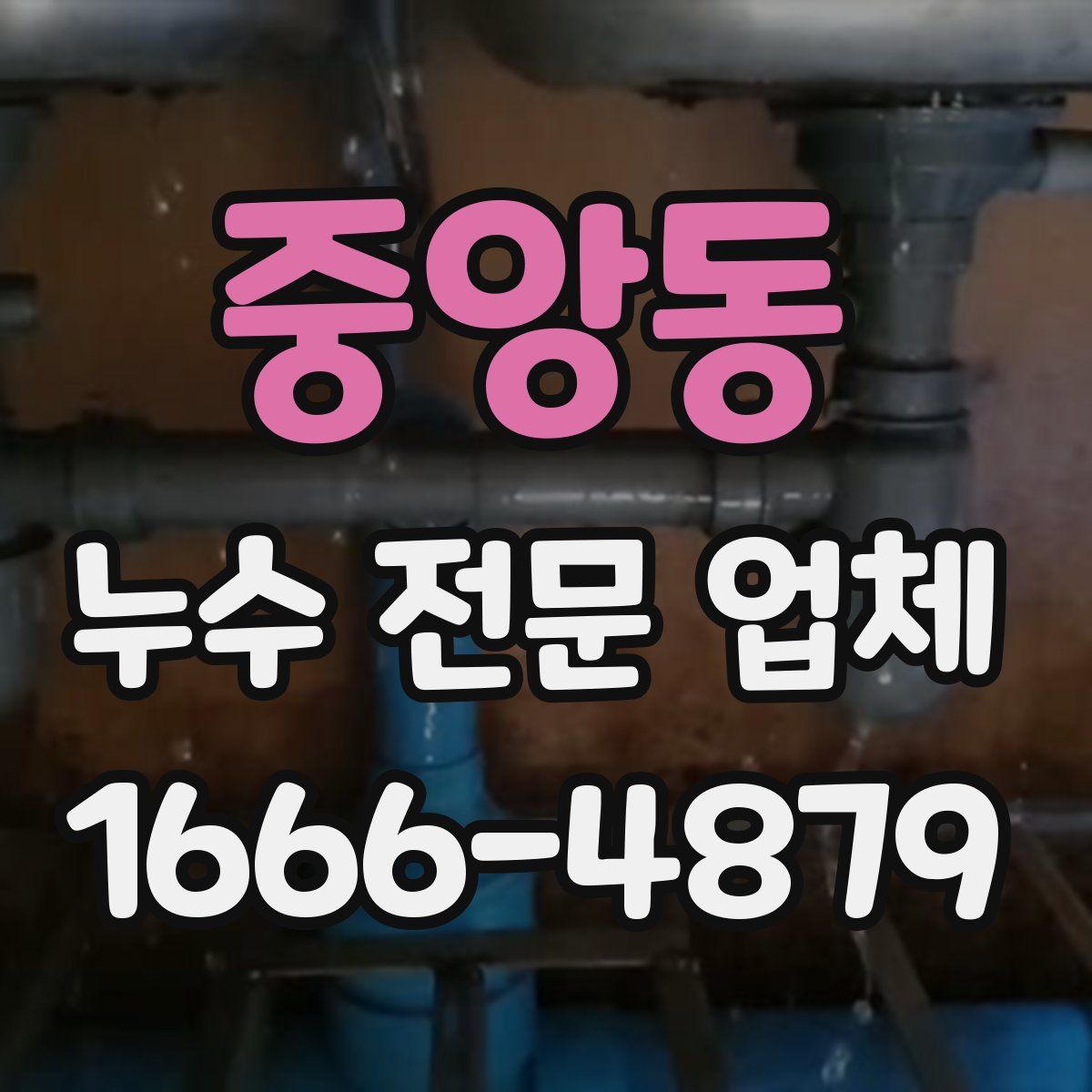 중앙동 누수 전문 업체
