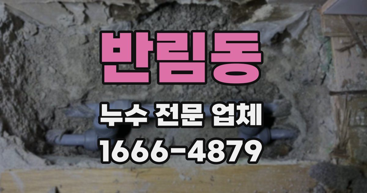 반림동 누수 전문 업체