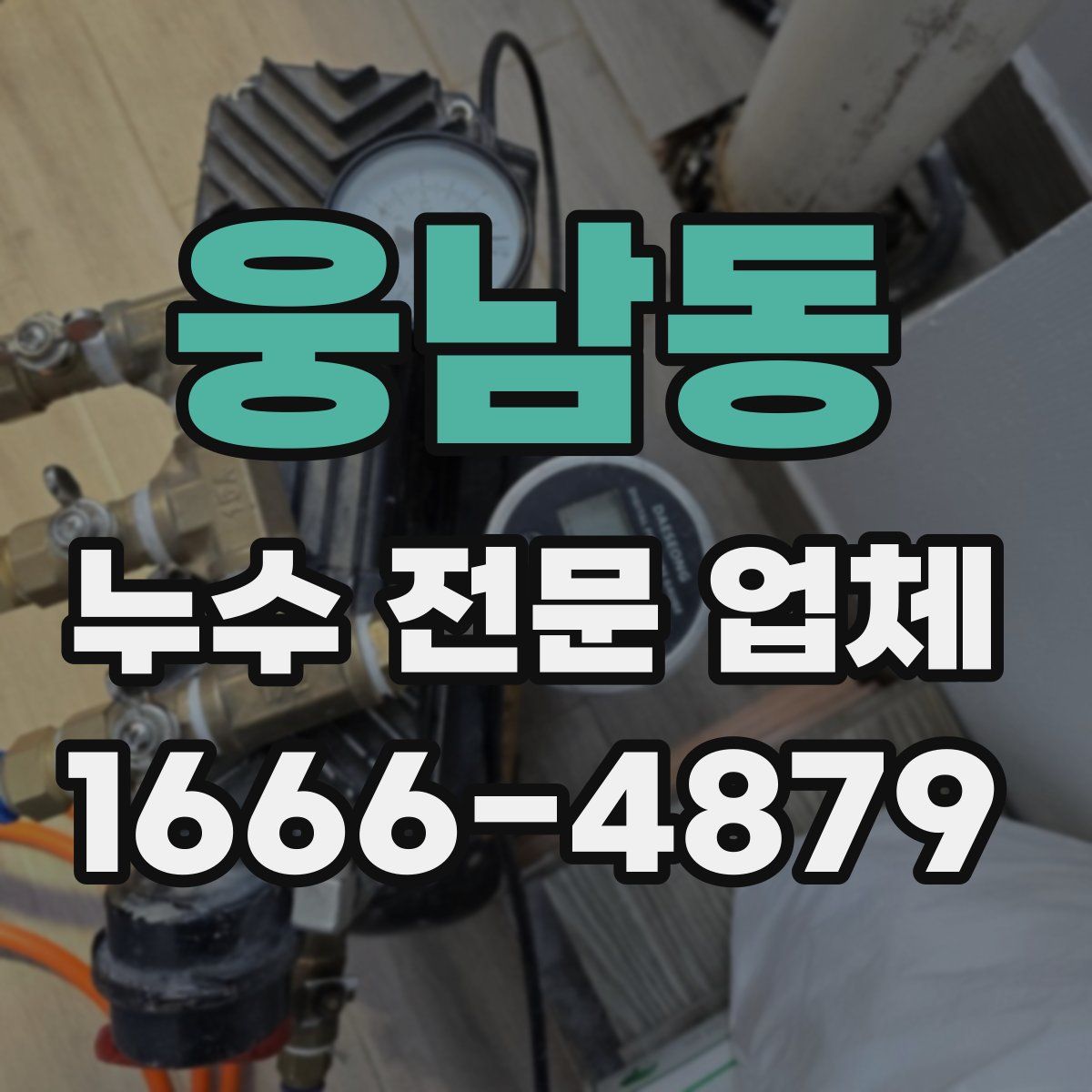 웅남동 누수 전문 업체
