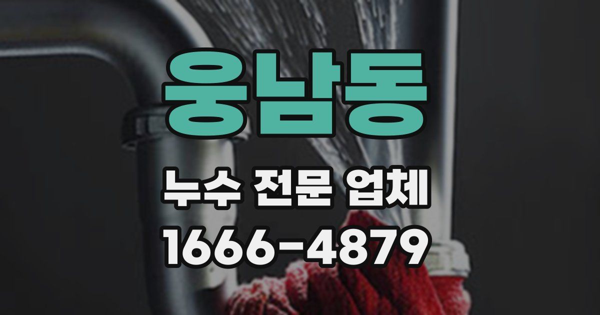 웅남동 누수 전문 업체