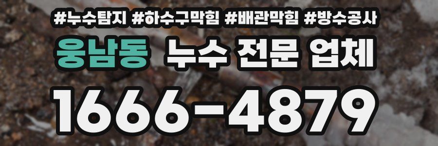 웅남동 누수 전문 업체