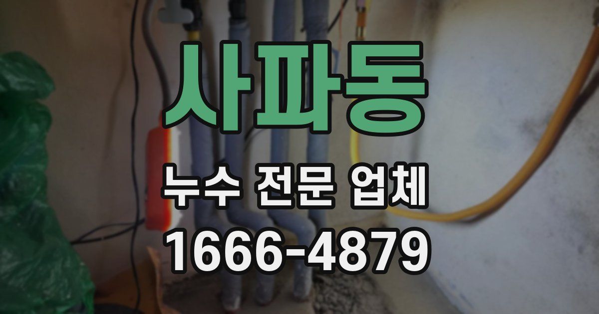 사파동 누수 전문 업체