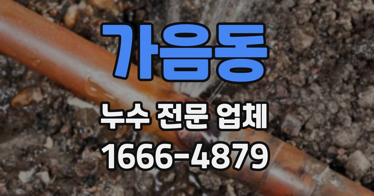 가음동 누수 전문 업체