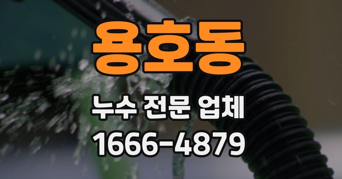 용호동 누수 전문 업체