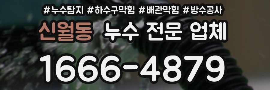 신월동 누수 전문 업체