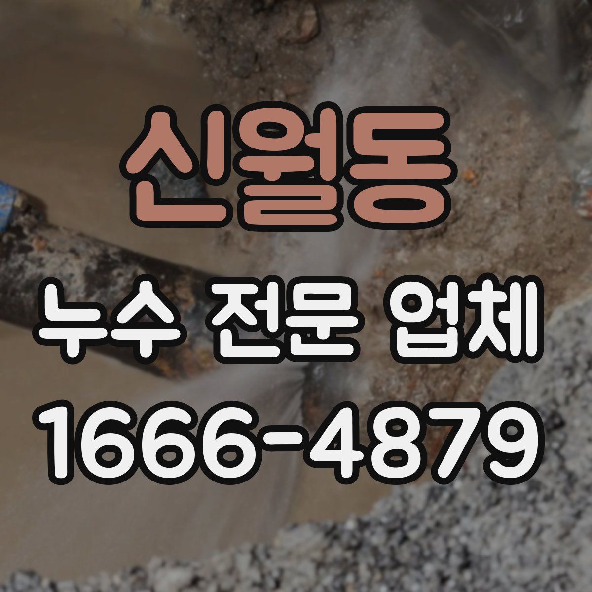 신월동 누수 전문 업체