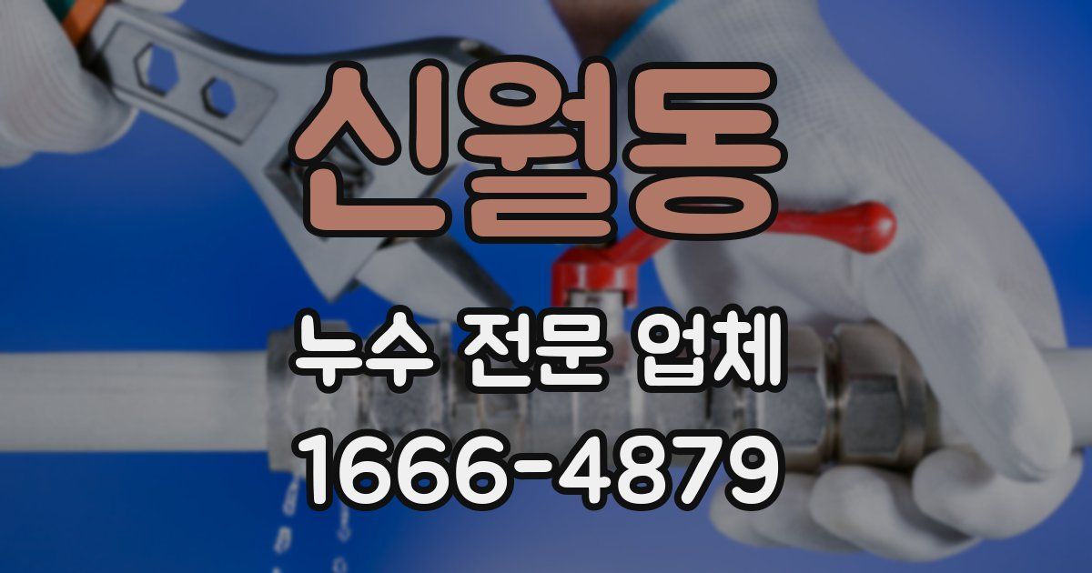 신월동 누수 전문 업체