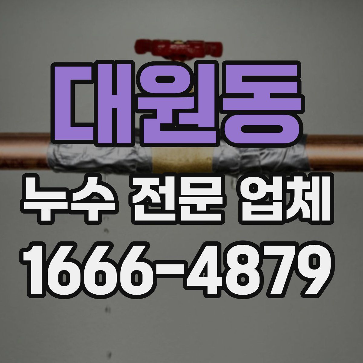 대원동 누수 전문 업체