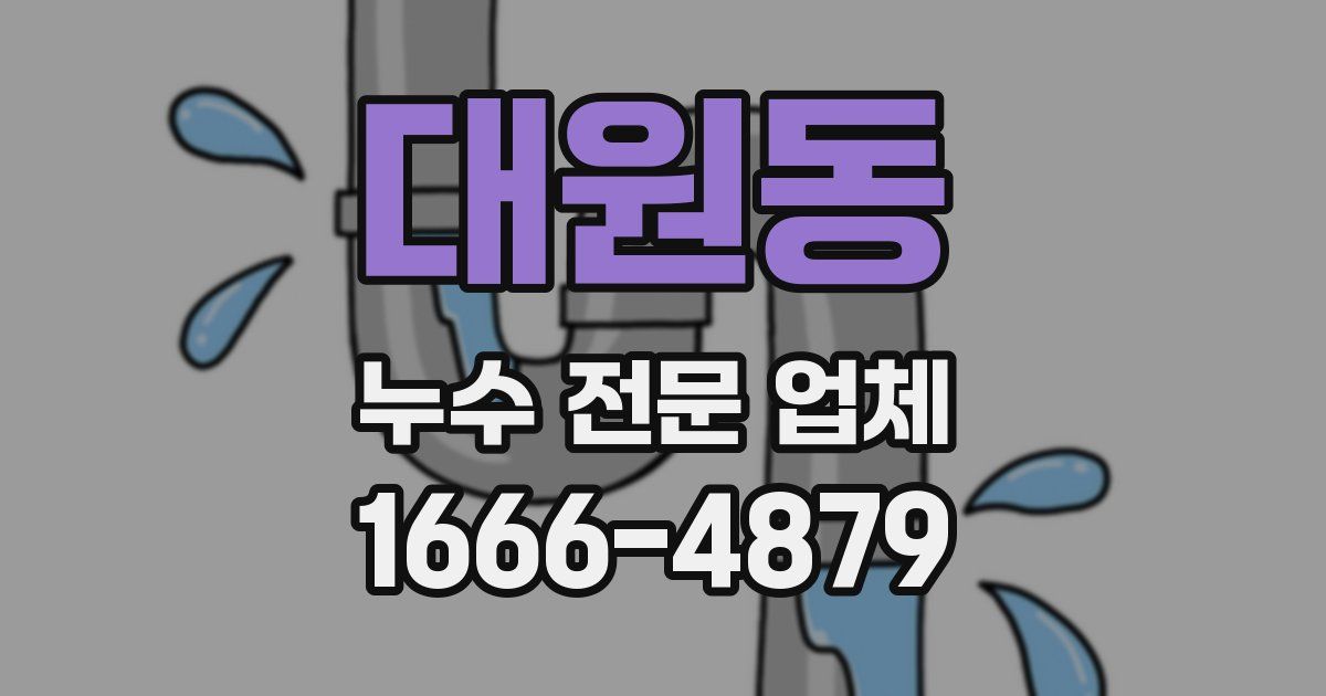 대원동 누수 전문 업체